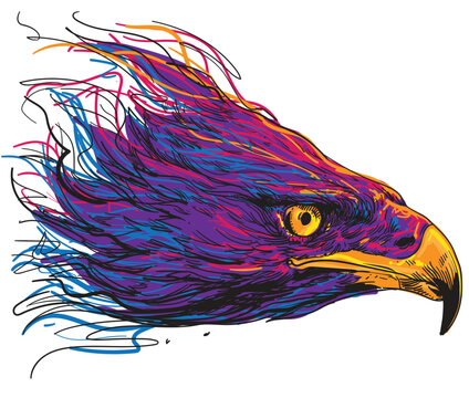 hand drawn eagle head color vector illustration