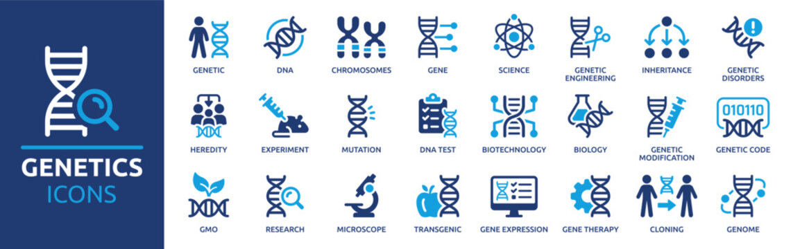 Genetics icon set. Containing DNA, gene, chromosomes, heredity, genome, genetic, biology, GMO and more. Vector solid icons collection.