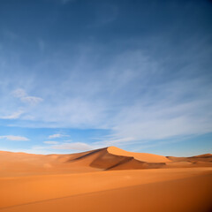 Fototapeta na wymiar Blue sky and golden sand dune in desert.