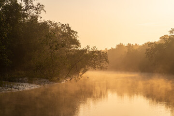 Obraz na płótnie Canvas Tranquil foggy landscape view of mangrove at sunrise in Sundarbans national park, a UNESCO world heritage site, Bangladesh