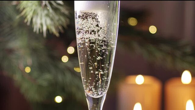 Pouring champagne into glass from bottle on christmas background with pine branch and blinking lights