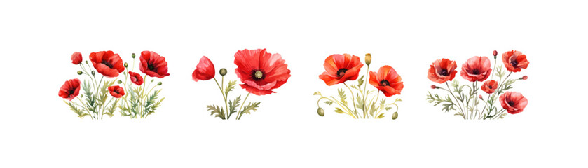 Watercolor red poppy set. Vector illustration design. - obrazy, fototapety, plakaty