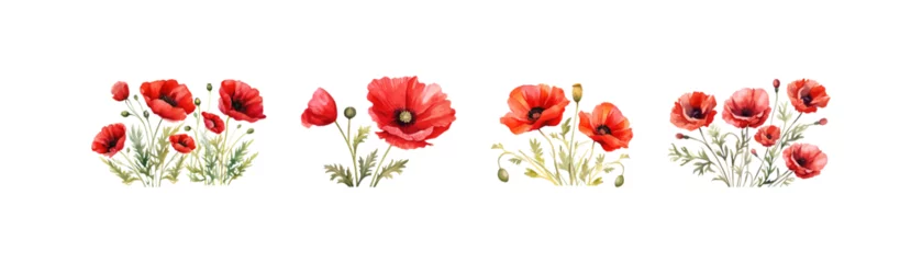 Foto op Plexiglas Watercolor red poppy set. Vector illustration design. © Tamara
