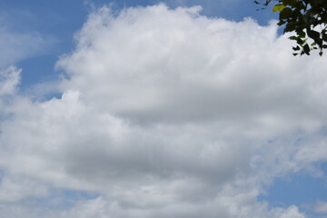 Enjoying the mother nature