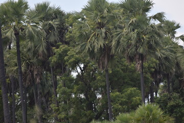 Enjoying the mother nature