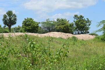 Enjoying the mother nature