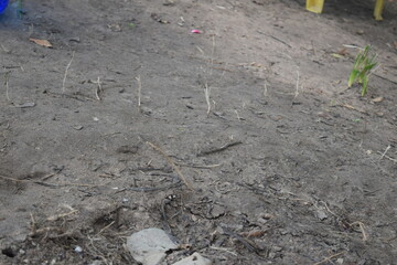 Enjoying the mother nature