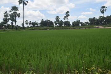 Enjoying the mother nature