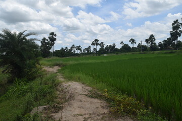 Enjoying the mother nature