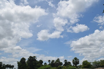 Enjoying the mother nature