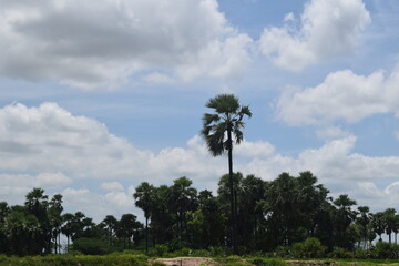 Enjoying the mother nature