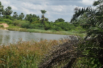 Enjoying the mother nature