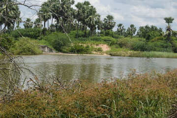 Enjoying the mother nature