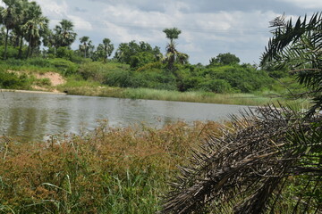 Enjoying the mother nature