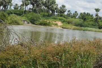 Enjoying the mother nature