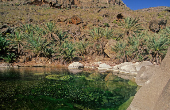 Wadi Desmo Socotra Island