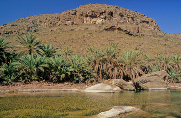 Wadi Desmo Socotra Island