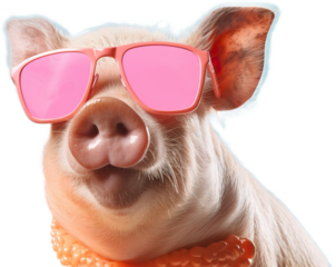 charismatic Piggy in huge bright glasses  isolated on white