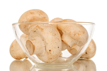 Several organic fresh mushrooms in a glass plate, macro, isolated on white background.