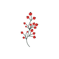 Christmas Branch of Rowan, Viburnum or Holly With Red Berries Without Leaves on a white background in a flat simple style. Decorative botanical element. Vector