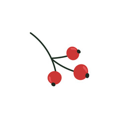 Christmas branch with three red berries without leaves on a white background in flat style. Decorative botanical element. Vector