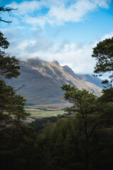 View of mountain through trees in Scotland