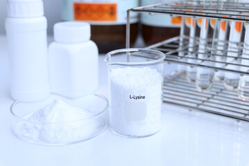 L-Lysine powder in chemical container , chemical in the laboratory and industry