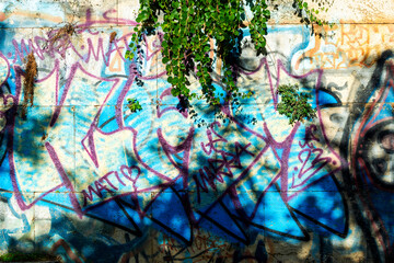 Plantes et graffitis sur les murs de la ville