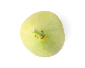 One fresh green fig isolated on white, top view