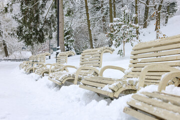 Beautiful trees covered with snow and benches in winter park