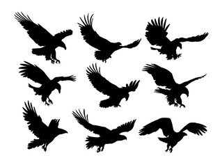 Set silhouettes of wild eagles in flight.
- 695847186