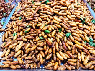 fried chrysalis on blur background.street food