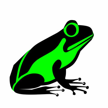 recommend clip art: frog vector in black and green colors. On a white background. vector illustration