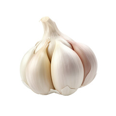 Obraz premium Garlic on transparent background. Design for organic shops, grocery shops and markets.