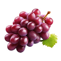 Fototapeta premium Grapes on transparent background. Design for packaging, vineries, wineyards, logos, marketing materials.