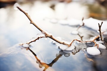 Obraz premium ice-encased twigs protruding from river
