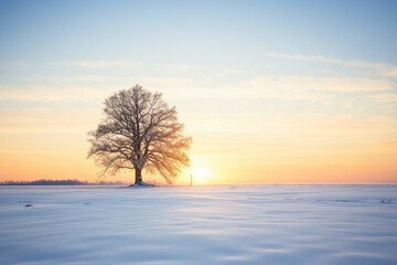 sunrise illuminating a snowy landscape with a tree silhouette