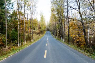 Scenic road through autumn trees