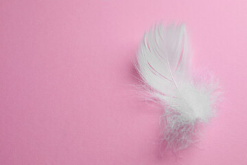 Fluffy white bird feather on pink background, top view. Space for text