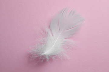 Fluffy white bird feather on pink background, top view