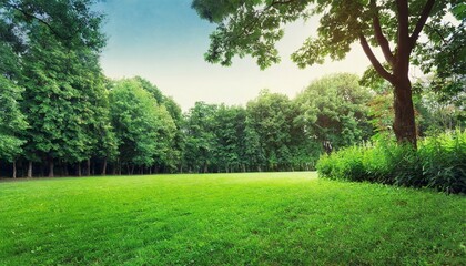 Fototapeta na wymiar green lawn and trees background with copyspace nature background concept generative ai