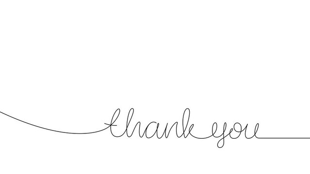 Continuous one line drawing of Thank you hand lettering animation on white background