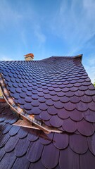 Fledermausgaube und Biberschwanzdach 