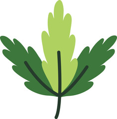 Hand Drawn Tropical Leaves 