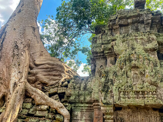 Fototapeta premium Ta Prohm, a mysterious temple of the Khmer civilization, located on the territory of Angkor in Cambodia