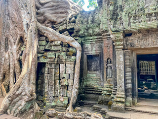 Naklejka premium Ta Prohm, a mysterious temple of the Khmer civilization, located on the territory of Angkor in Cambodia