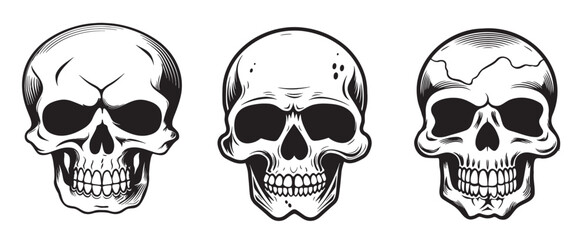 Set of skulls sketch hand drawn death day