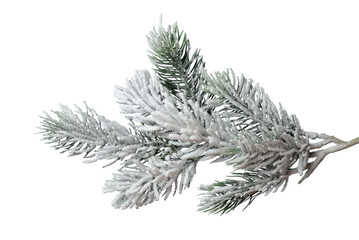 Frosty Christmas tree branch isolated on transparent background. Winter holiday design element