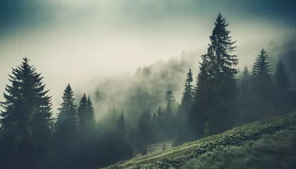 Fotobehang misty landscape with fir forest in vintage retro style generative ai © Kira
