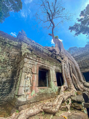 Naklejka premium Ta Prohm, a mysterious temple of the Khmer civilization, located on the territory of Angkor in Cambodia